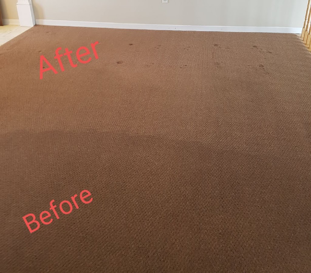 Kleen Up Pros Carpet Cleaning | 52 Hickling Trail, Barrie, ON L4M 5S7, Canada | Phone: (705) 426-2513