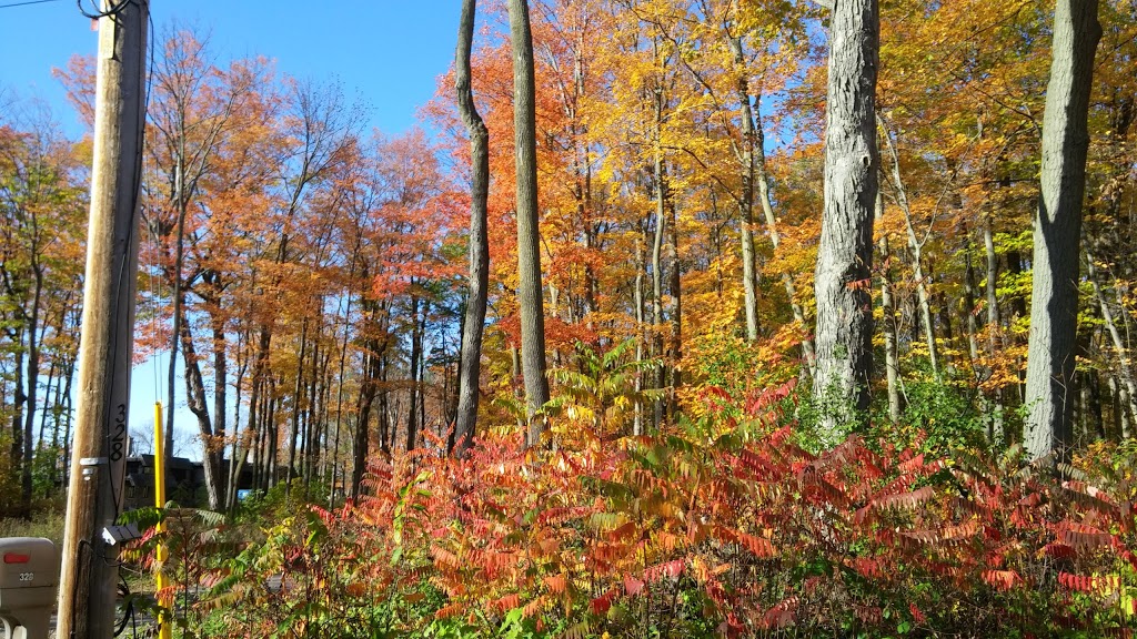 Senneville Migratory Bird Sanctuary | Senneville, QC H9X 3Y1, Canada | Phone: (800) 668-6767