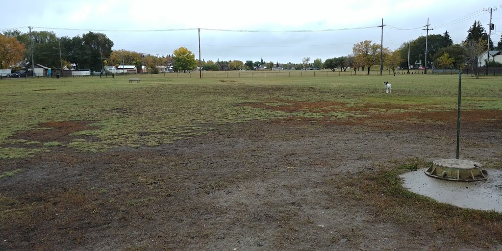 Pierre Radisson Dog Park | 1308 Faulkner Crescent, Saskatoon, SK S7L 3R4, Canada