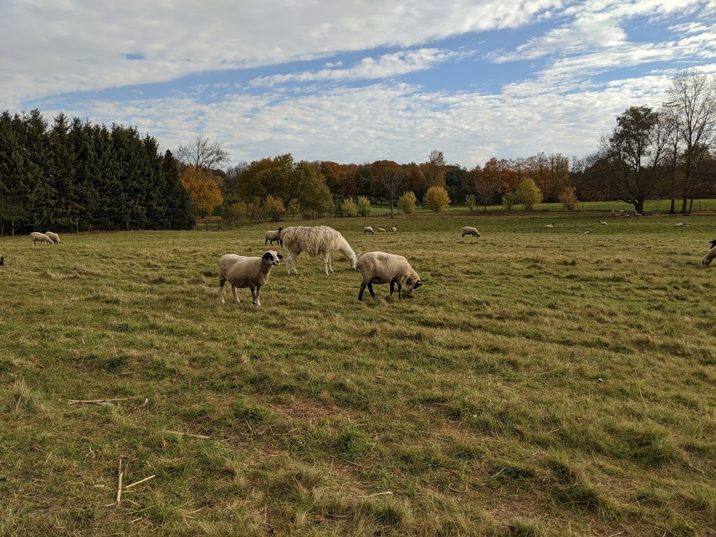 Natures Bounty Farm | 651 Scugog Line 2, Port Perry, ON L9L 1B3, Canada | Phone: (905) 985-2096