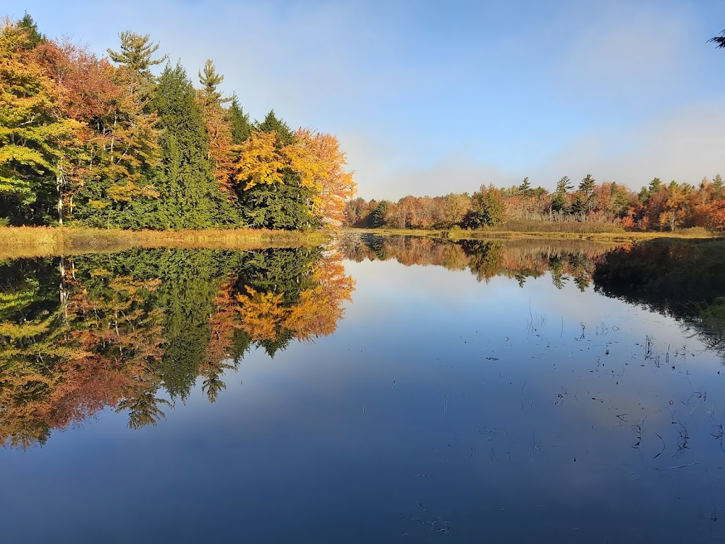 Kejimkujik National Park Visitors Center | 3005 Kejimkujik Main Parkway, Annapolis County, NS B0T 1B0, Canada | Phone: (902) 682-2772