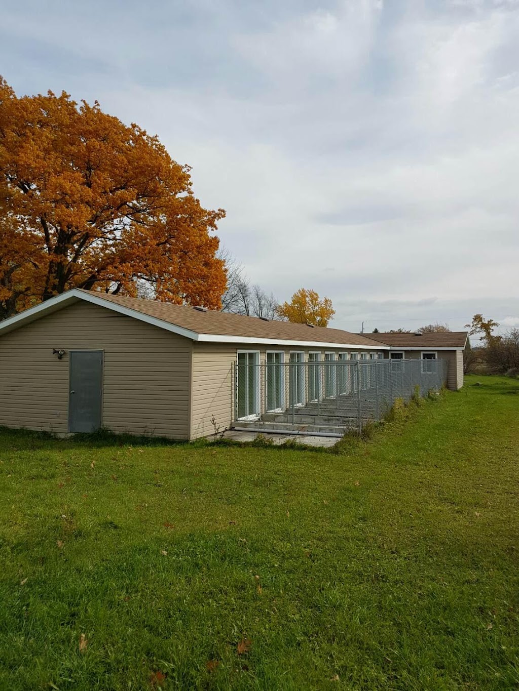 Loyalist Barkway Boarding Kennels | 9675 ON-33, Bath, ON K0H 1G0, Canada | Phone: (613) 777-5024