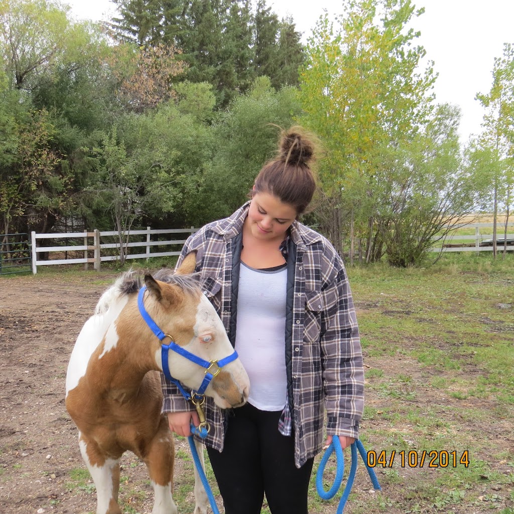 Sky’s the Limit Stables | 35031 Springfield Rd 63N, Anola, MB R5L 0H6, Canada | Phone: (204) 299-6095