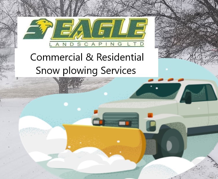 Eagle Landscaping Ltd | 107 Forestview Rd, Oro-Medonte, ON L3V 0R4, Canada | Phone: (705) 826-1258