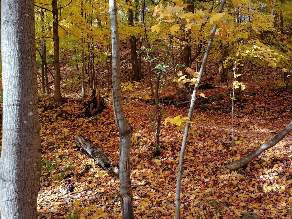 Parc de la Rivière Beauport Sud | Unnamed Road, Québec, QC G1E 4S8, Canada