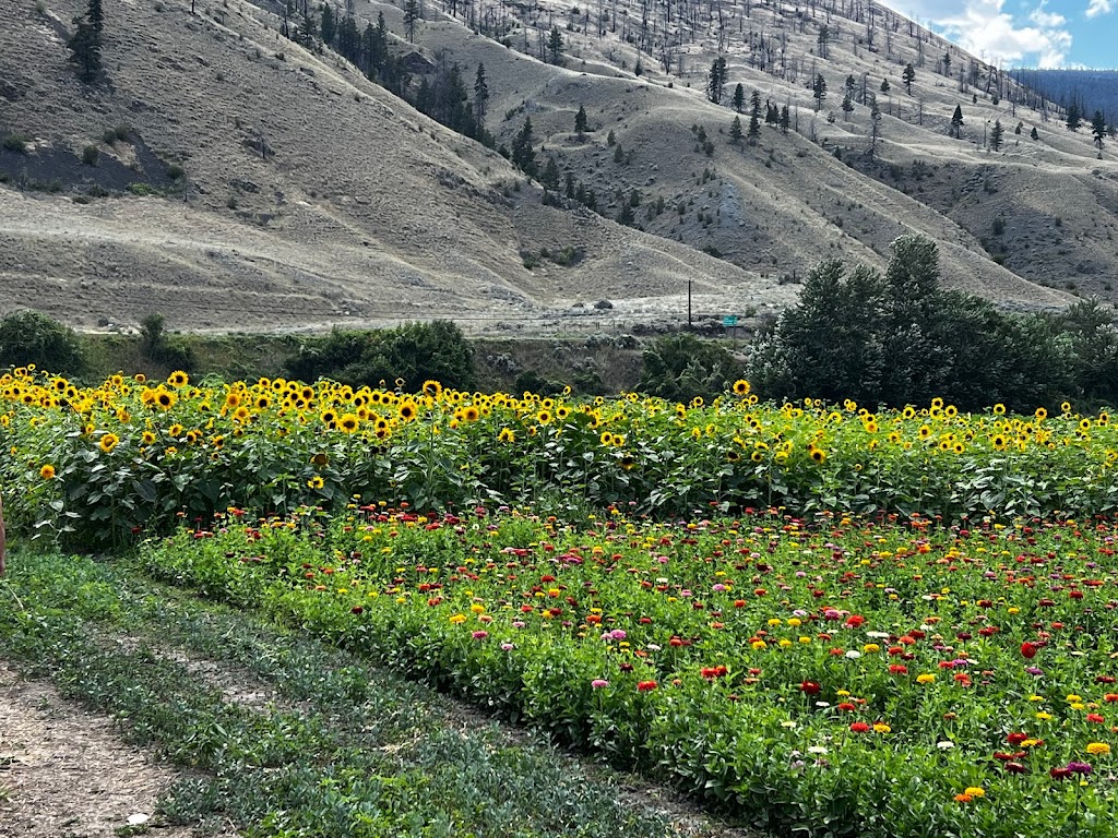 Horstings Farm Market | 2540 Cariboo Hwy #97, Cache Creek, BC V0K 1H0, Canada | Phone: (250) 457-6546