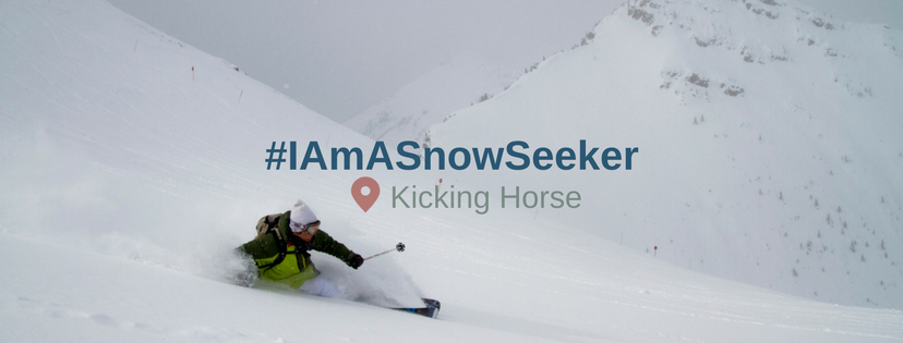 SnowSeekers | 4539 Marine Ave c, Powell River, BC V8A 3A9, Canada | Phone: (780) 983-9913