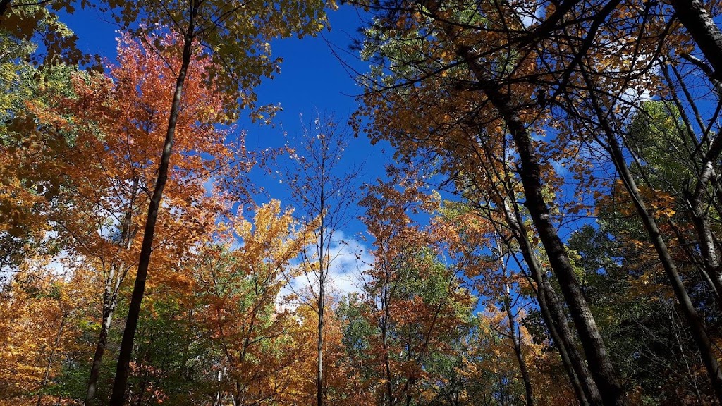 Base de plein air Ville Lajoie Inc | 150 Rang Rhimbeault, Sainte-Victoire-de-Sorel, QC J0G 1T0, Canada | Phone: (450) 782-2145