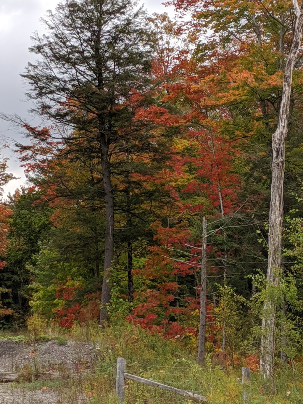 Inspection Station & Rest Area | Trans-Canada Hwy, MacTier, ON P0C 1H0, Canada | Phone: (800) 267-8097