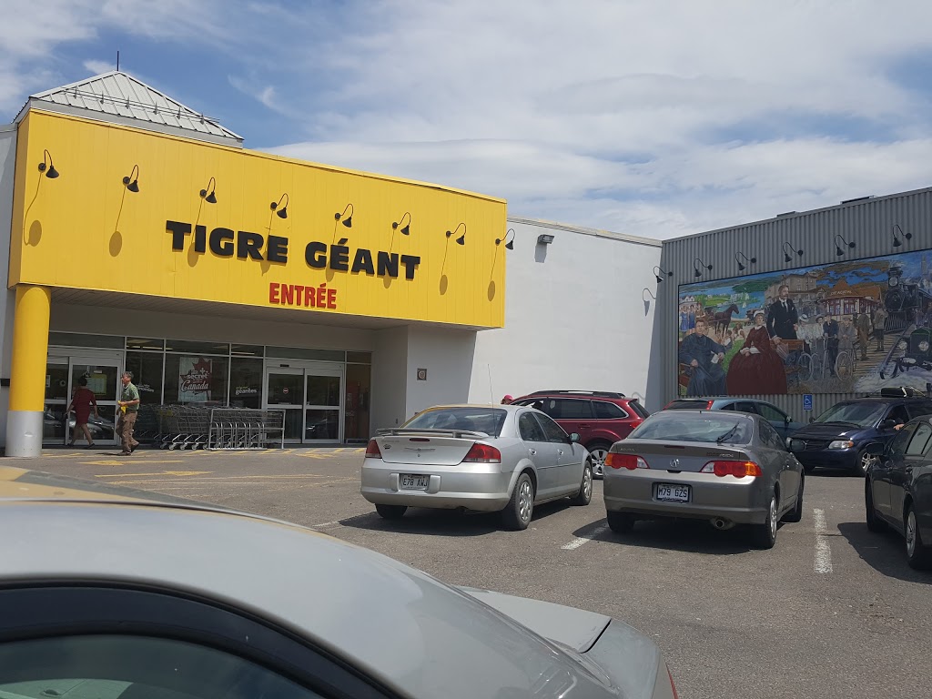 Tigre Géant | 451 Rue Léonard, Sainte-Agathe-des-Monts, QC J8C 2Y5, Canada | Phone: (819) 326-9099