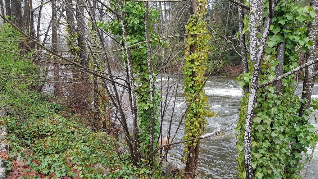 Maplewood Creek Park | North Vancouver, BC V7H 1E3, Canada