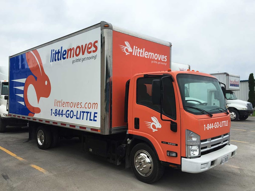 Little Moves | 98 Sluse Rd, Holland Landing, ON L9N 1G8, Canada | Phone: (905) 853-9899