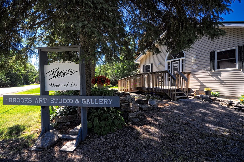 Brooks Art Studio & Gallery | 223 Front St W, Bobcaygeon, ON K0M 1A0, Canada | Phone: (705) 738-9767