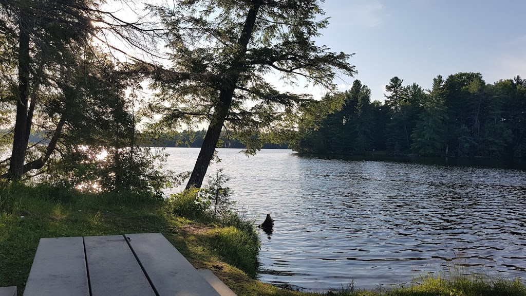 Silver Lake Provincial Park | 22726 Hwy 7, Maberly, ON K0H 2B0, Canada | Phone: (613) 268-2000