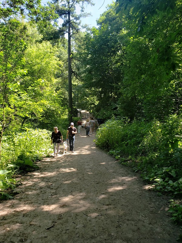 High Park Nature Centre | 375 Colborne Lodge Dr, Toronto, ON M6R 2Z3, Canada | Phone: (416) 392-1748