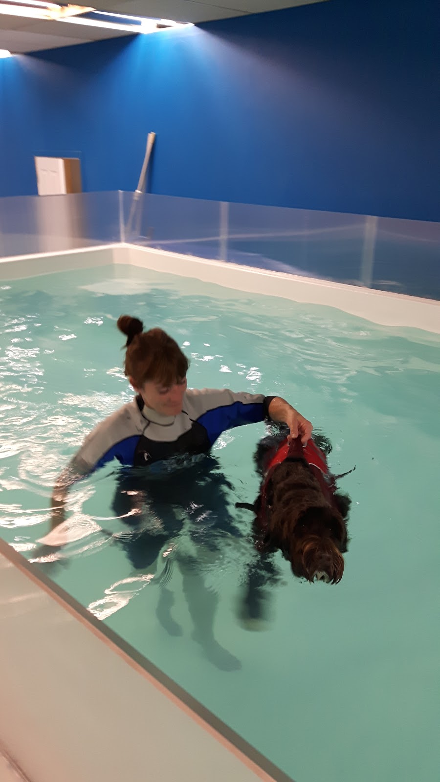 Aqua Confort Animal | 1697 Rue Notre Dame, LAncienne-Lorette, QC G2E 3B9, Canada | Phone: (418) 914-3444