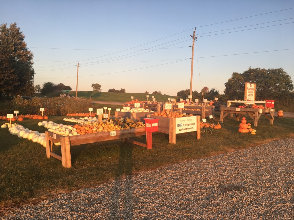 Good Family Pumpkins | 909 Bridge St E, Waterloo, ON N2J 4G8, Canada | Phone: (519) 635-6653