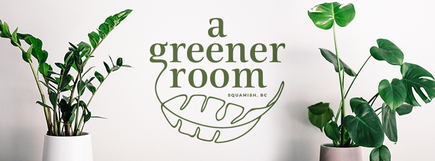 A Greener Room | 39761 Government Rd, Squamish, BC V8B 0G3, Canada | Phone: (604) 935-0737