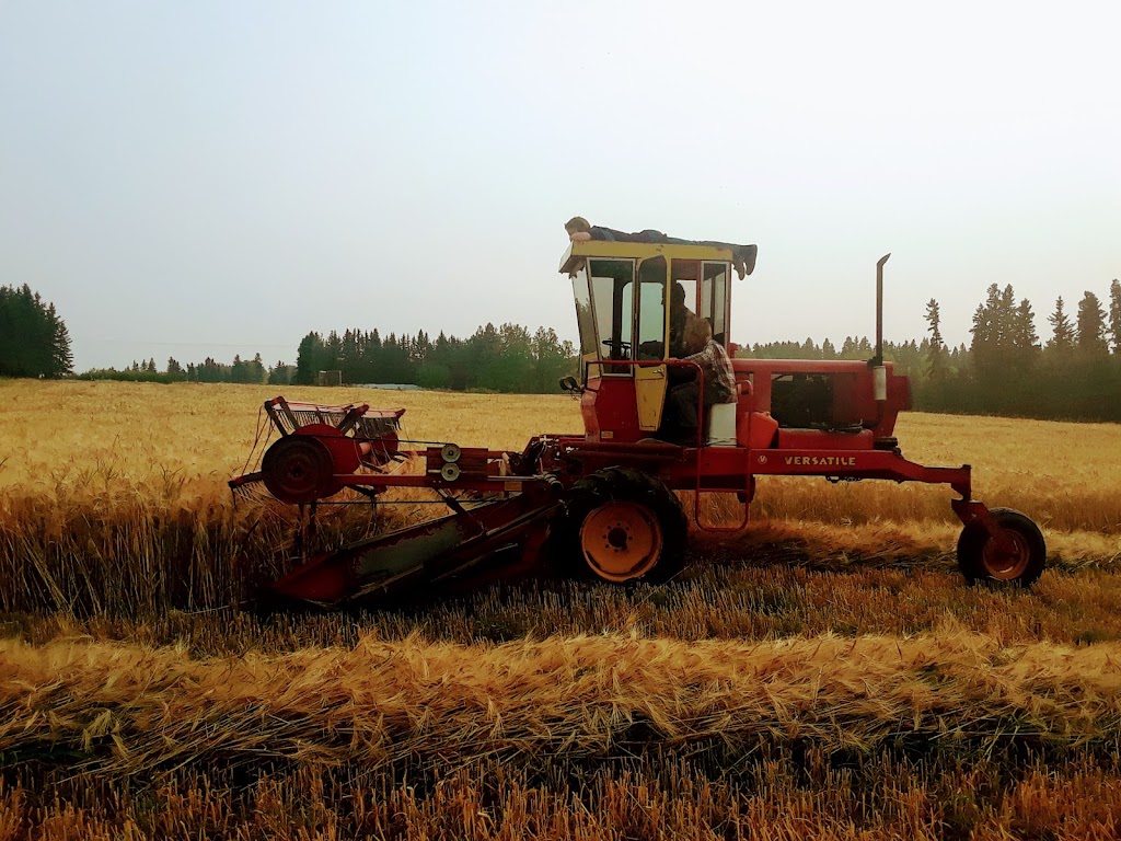 Leussink Custom Farming | AB-27, Sundre, AB T0M 1X0, Canada | Phone: (403) 638-3251