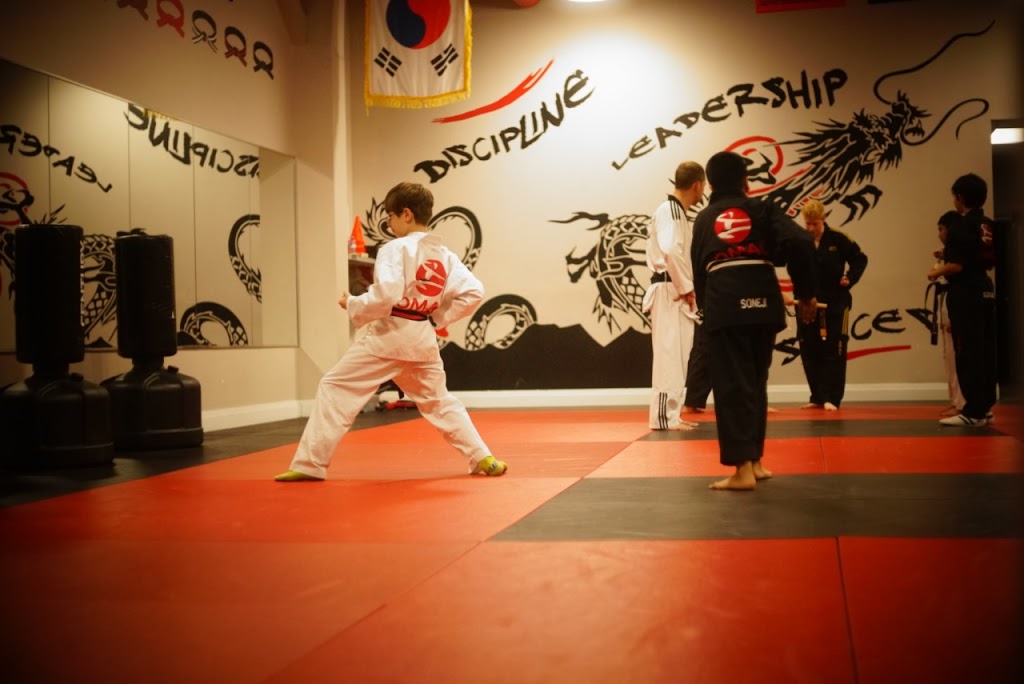 OMAC Martial Arts Trafalgar | 2427 Trafalgar Rd, Oakville, ON L6H 6Z9, Canada | Phone: (905) 257-1088