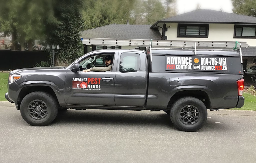 Richmond Advance Pest Control | 10540 Finlayson Dr, Richmond, BC V6X 1W6, Canada | Phone: (604) 786-4161