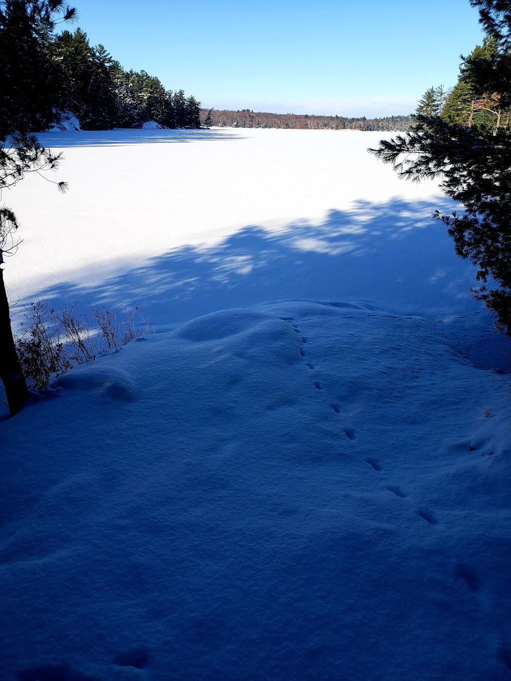 Hardy Lake Trail Head | Muskoka District Road 169, Gravenhurst, ON P1P 1R2, Canada