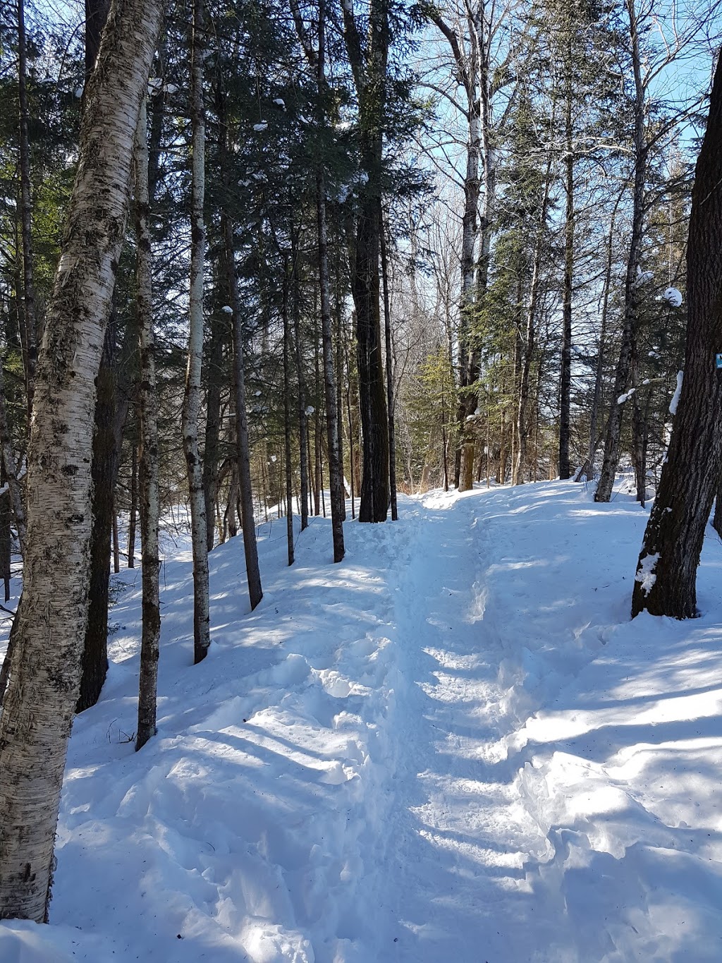 Missisquoi North Course | Rue des Pins S, Eastman, QC J0E 1P0, Canada