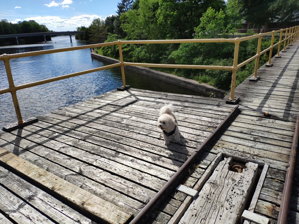 Trent-Severn Waterway, Lock 38 - Talbot | 1427 Canal Rd, Brechin, ON L0K 1B0, Canada | Phone: (705) 426-7901