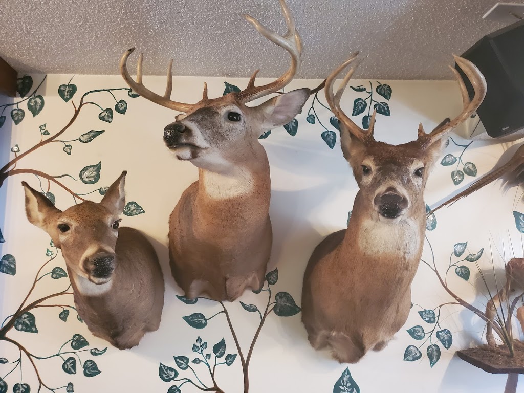 Racks Taxidermy | 3592 Linda St, Innisfil, ON L9S 2L2, Canada | Phone: (705) 294-1440