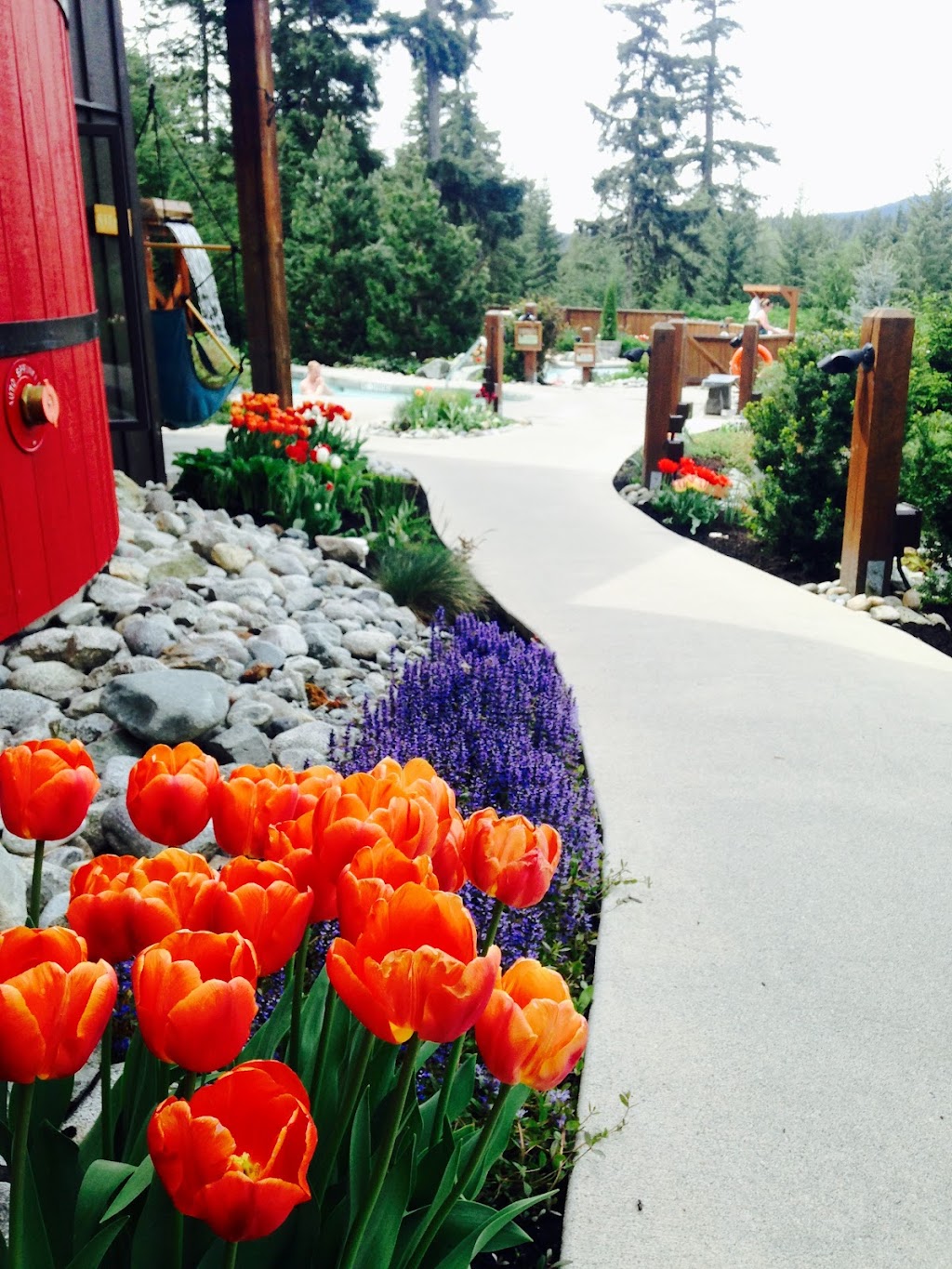 Mountainberry Landscaping | 8080 Nesters Rd, Pemberton, BC V0N 2L0, Canada | Phone: (604) 905-9600