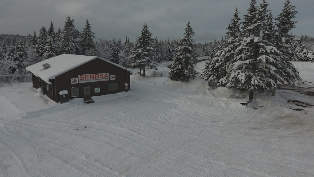 Southeastern NB Snowmobile | 1319 Caledonia Mountain Rd, Caledonia Mountain, NB E4H 1A9, Canada | Phone: (506) 734-3455