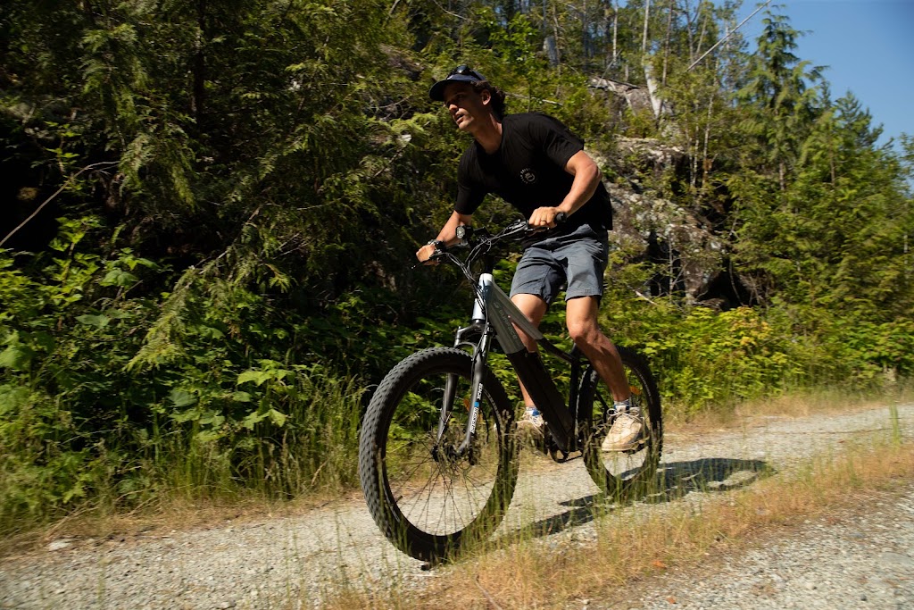 Ebikes Calgary | 11127 15 St NE, Calgary, AB T3K 2M4, Canada | Phone: (888) 400-7221