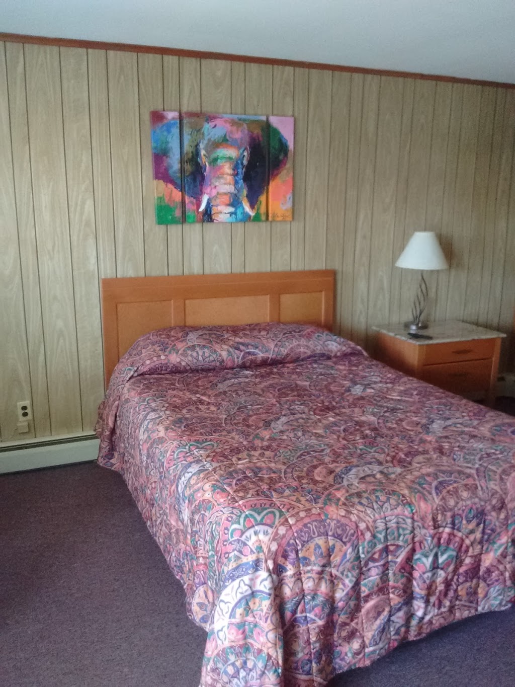 Bluebird Motel | 1630 Southwestern Blvd, West Seneca, NY 14224, USA | Phone: (716) 674-3174