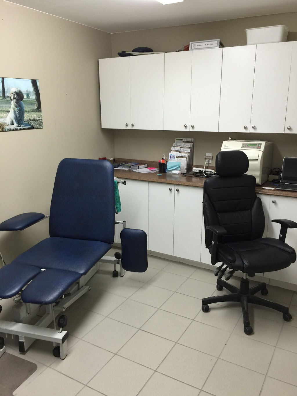 Comfort Stride Foot Clinic | 239 Holland St W, Bradford, ON L3Z 1H9, Canada | Phone: (905) 392-7793