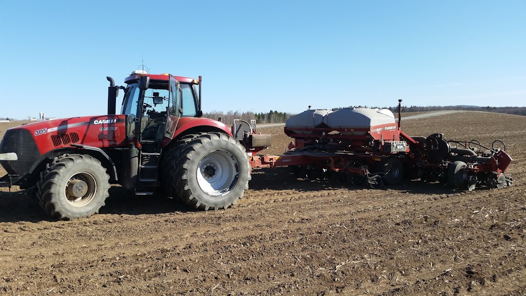 Ferme Porcité | 87 Rang du Bas-Saint-Jacques, Saint-Elzéar, QC G0S 2J0, Canada | Phone: (418) 805-8265