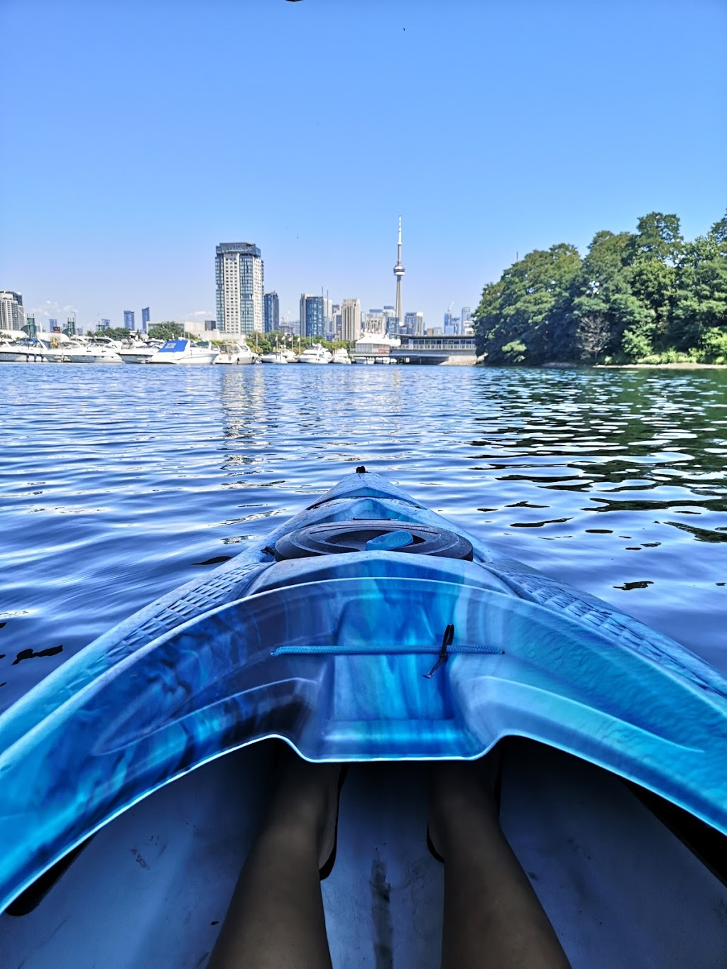 Lake Shore Boat Rentals, Pedal Boat and Kayak | 955 Lake Shore Blvd W, Toronto, ON M6K 3B9, Canada | Phone: (416) 836-4724