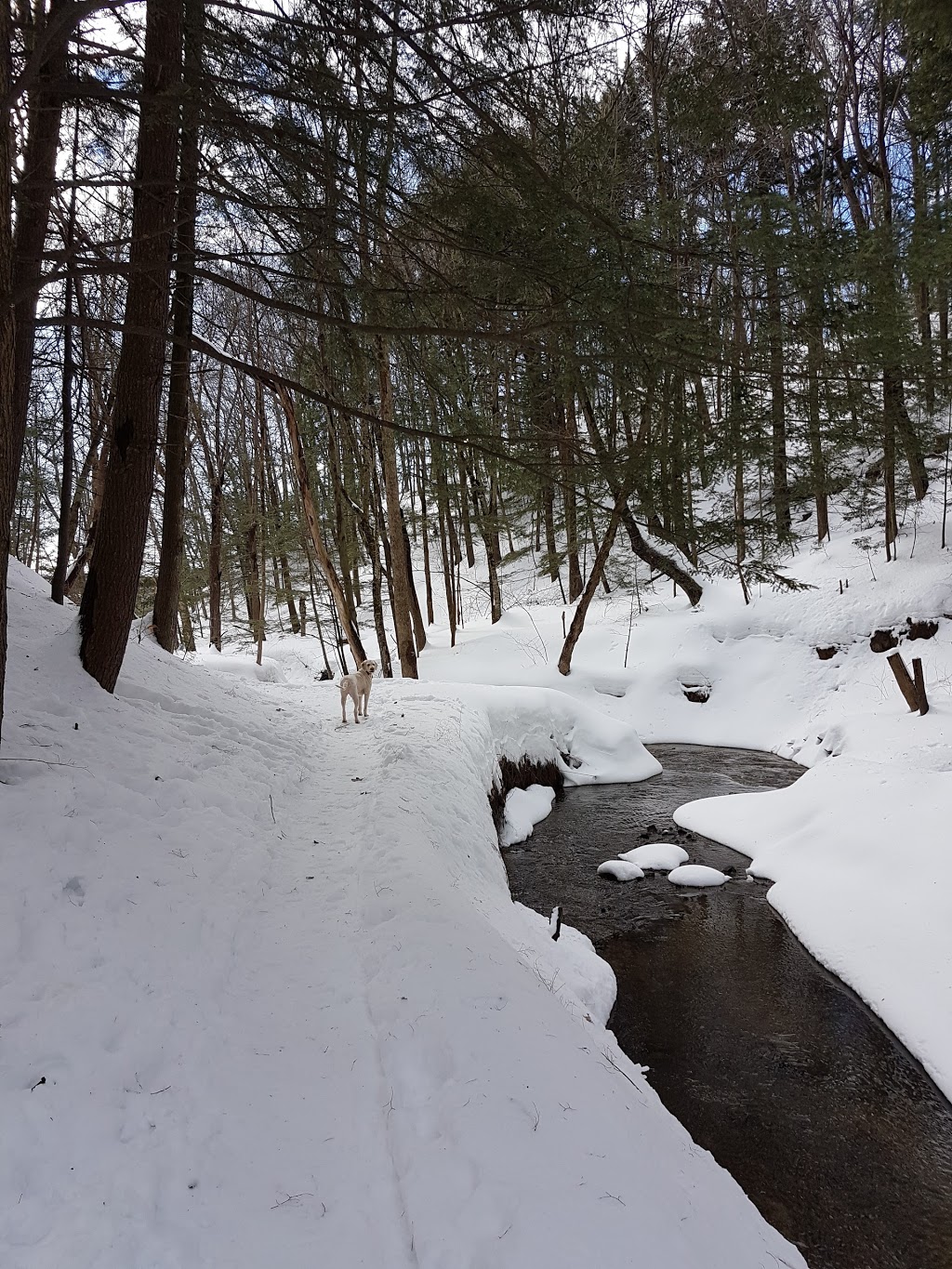 Parc écologique de la Coulée | Terrebonne, QC J6X 1W1, Canada