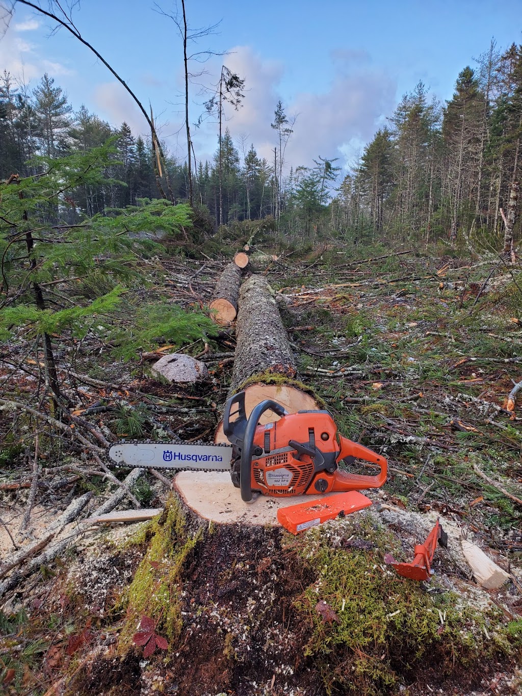 Conserve A Tree Forestry | 54 Lower Grant Rd, Chester Basin, NS B0J 1K0, Canada | Phone: (902) 275-8450