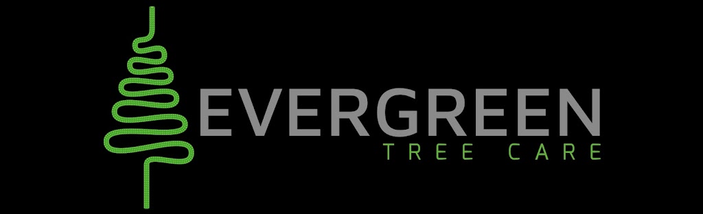 Evergreen Tree Care | 103 Hazelwood Ave, Toronto, ON M4J 1K4, Canada | Phone: (416) 546-4889