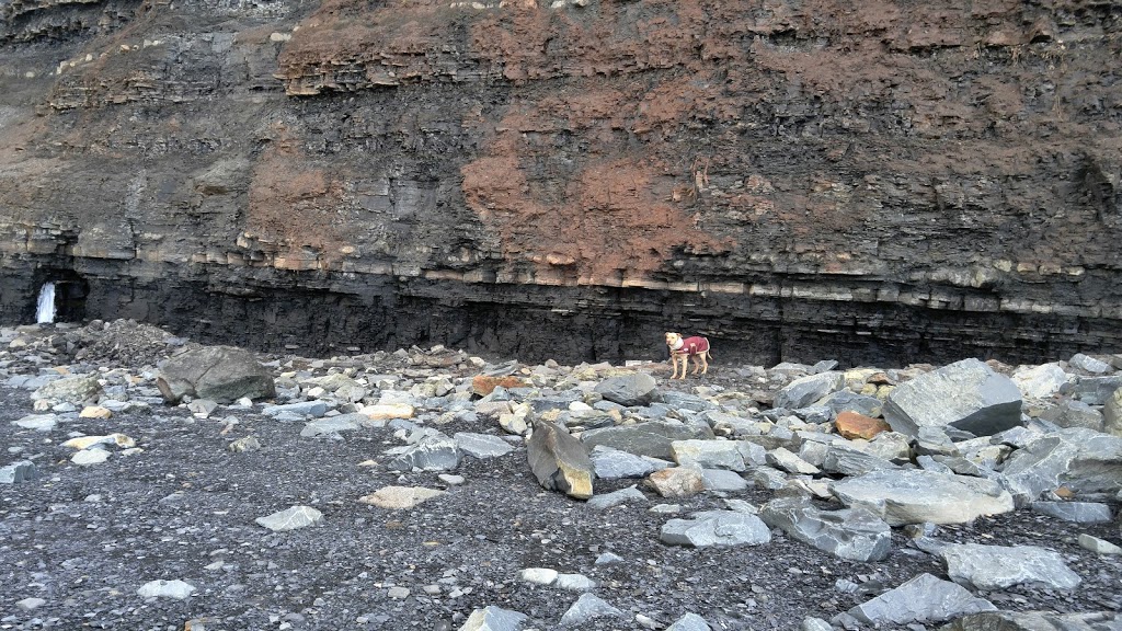 Blue Beach Fossil Museum | 127 Blue Beach Rd, Hantsport, NS B0P 1P0, Canada | Phone: (902) 790-9541