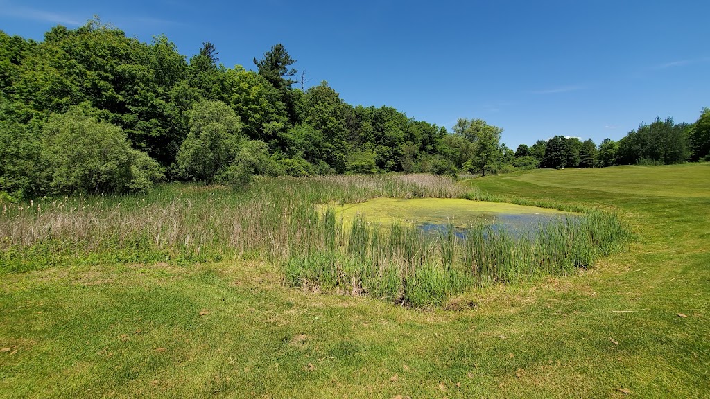 Oak Gables Golf Club | 1505 Wilson St W, Jerseyville, ON L0R 1R0, Canada | Phone: (905) 648-4653