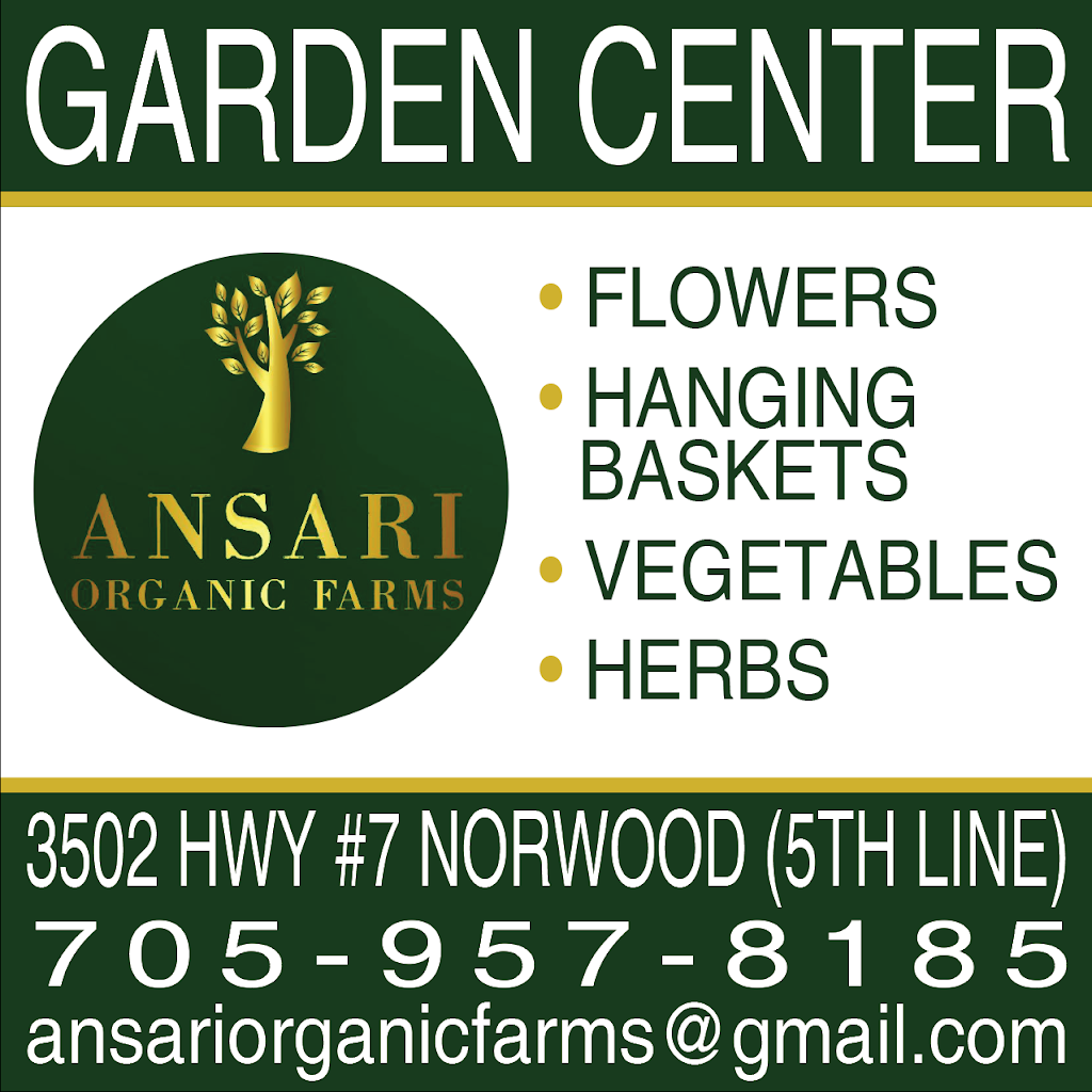 Ansari Organic Farms | 3502 Hwy 7, Norwood, ON K0L 2V0, Canada | Phone: (705) 957-8185