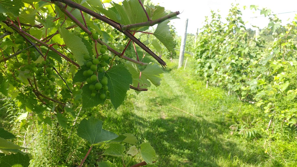 La Halte des Pèlerins | 693 Chemin du Sanctuaire, Sherbrooke, QC J1H 0E1, Canada | Phone: (819) 563-5115