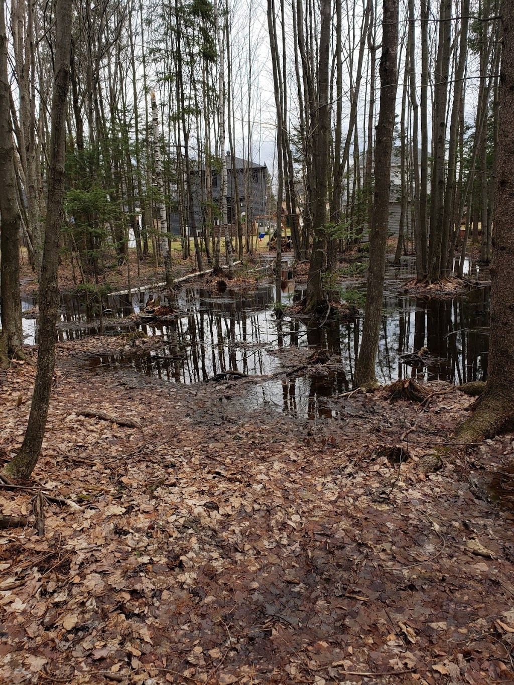 Parc des Goélands | Rue des Sittelles, Victoriaville, QC G6T 1K9, Canada