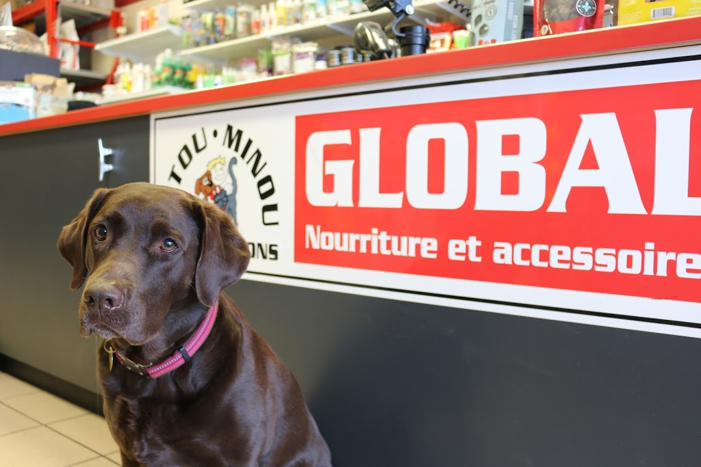 Pitou Minou & Compagnons Boucherville | 450 Boulevard de Mortagne #9, Boucherville, QC J4B 1B8, Canada | Phone: (450) 906-3494