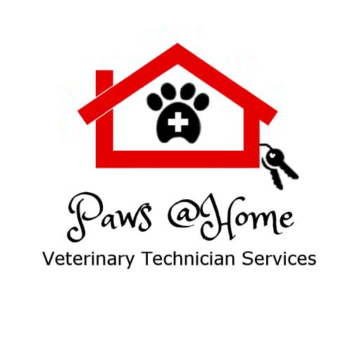 Paws @Home | 345 The East Mall, Etobicoke, ON M9B 3Z8, Canada | Phone: (289) 233-0224