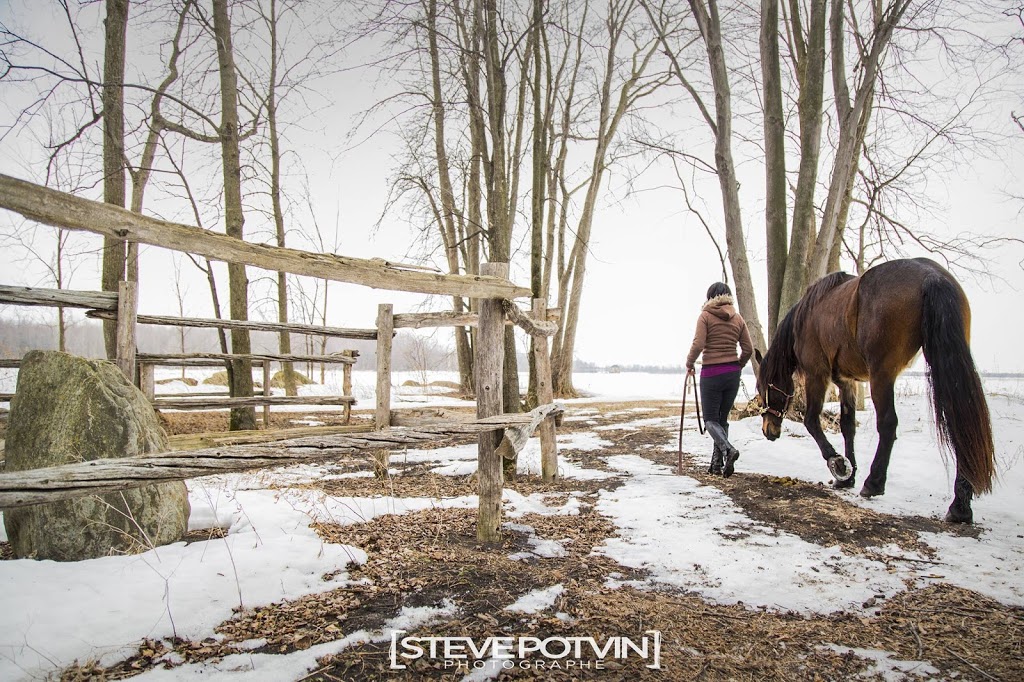 Cavalli Equestrian Center | 4900 Chemin Bellerive, Carignan, QC J3L 1P3, Canada | Phone: (514) 814-6718