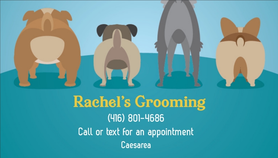 Rachels Grooming | Marina Dr, Caesarea, ON L0B 1E0, Canada | Phone: (416) 801-4686