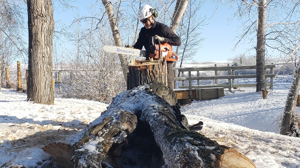 Prairie Woodlands Tree Care Ltd. | 264098, Range Rd 13, Airdrie, AB T4B 5B7, Canada | Phone: (587) 600-8936