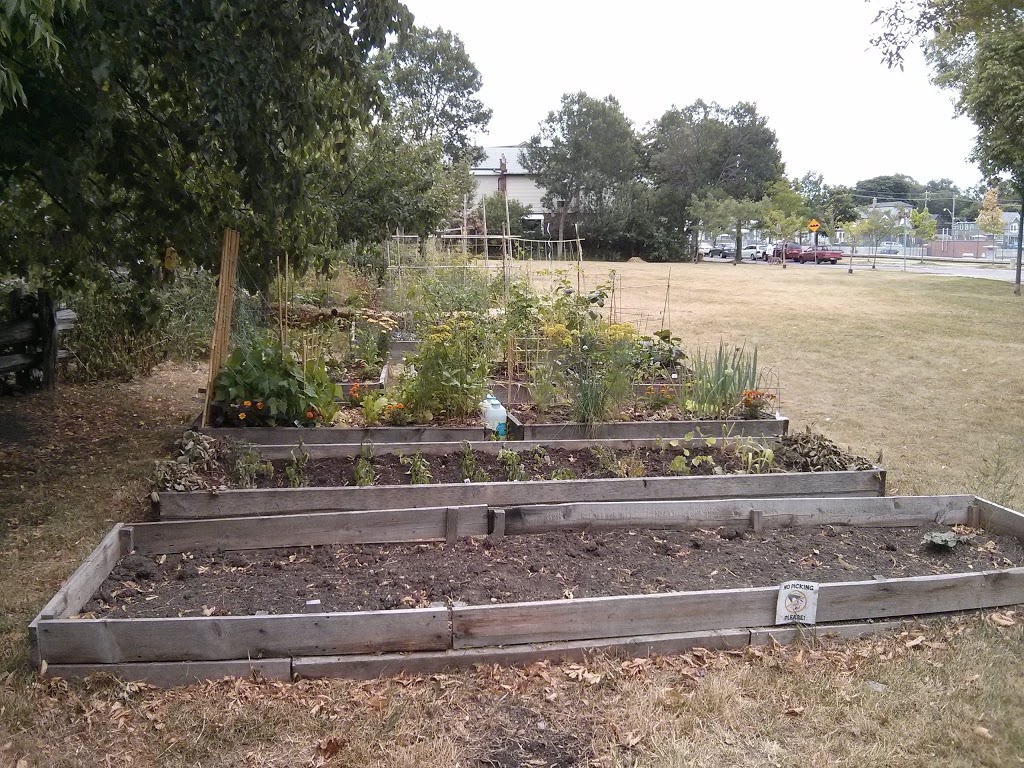 Oakvale Green Community Gardens | 77 Oakvale Ave, Toronto, ON M4J 1J1, Canada | Phone: (416) 338-4386